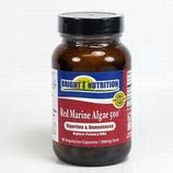 Red Marine Algae 500 By Bright Nutrition Gigartina Dumontacea