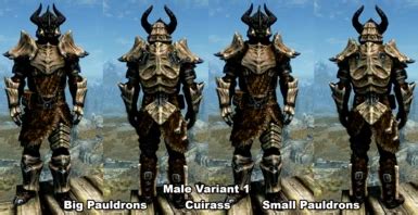 Symmetric Dragonplate Insulated Cuirass And Dragonbone Mail Replacers