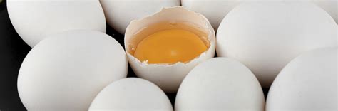 Egg Allergy Symptoms Diagnosis Treatment Happiest Health