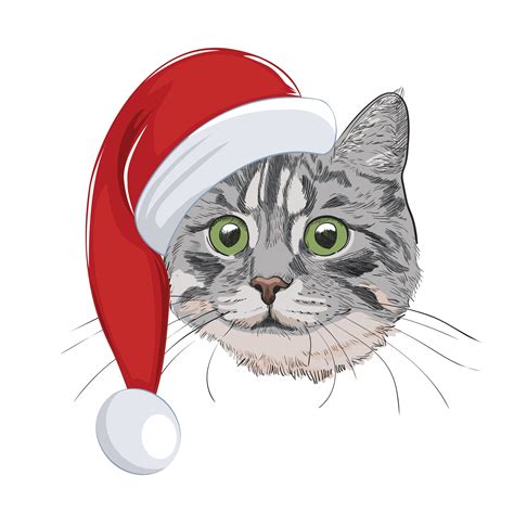 Cat with Christmas hat isolated on white background. Cute cat face ...