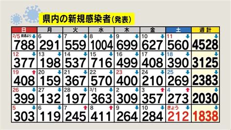 【新型コロナ】長野県内212人新規感染 3日連続前週下回る 長野市48人、佐久31人、諏訪26人など 長野県内のニュース Nbs 長野放送