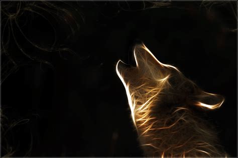 Fire Wolf Wallpaper (61+ images)