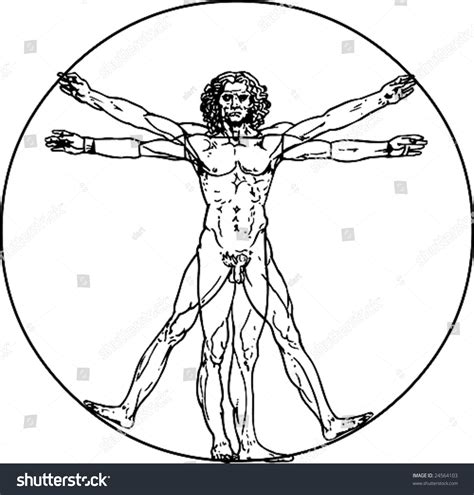 Leonardo Da Vinci S Vitruvian Man In Vector Shutterstock