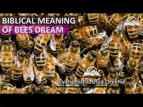 What Does It Mean To Dream About Bees StuffSure