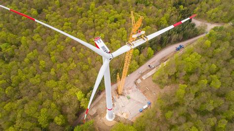 Zoff um Windkraft bei Hamburg Grüner Bürgermeister verlässt eigene Partei