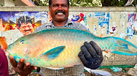 KASIMEDU CHEETAH DURAI VERY RARE PARROT FISH CUTTING VIDEO IN