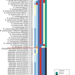 Comparison Of Predicted Virulence Profiles For Clinical K Pneumoniae