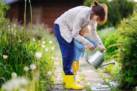 8 Dicas De Jardinagem Importantes Para Iniciantes