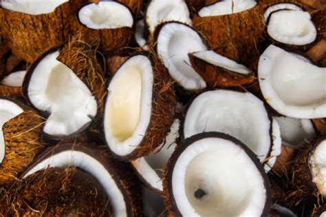 Réalisez Votre Propre Huile De Coco Vierge En Suivant Ces 5 étapes