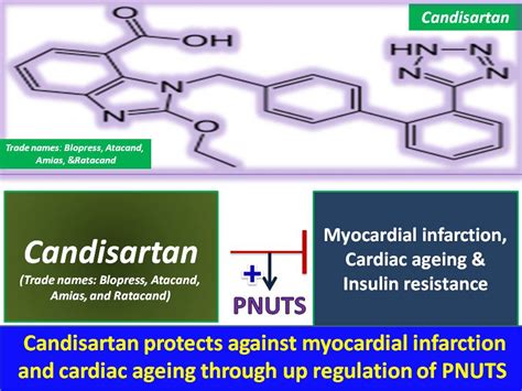 Molecular Therapy For Myocardial Infarction Candesartan An