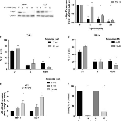 Triptolide Caused A Decrease In The Protein Levels Of C Myc In A Dose