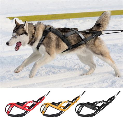 Waterproof Dog Sled Pulling Harness Pet Mushing Harness For Etsy