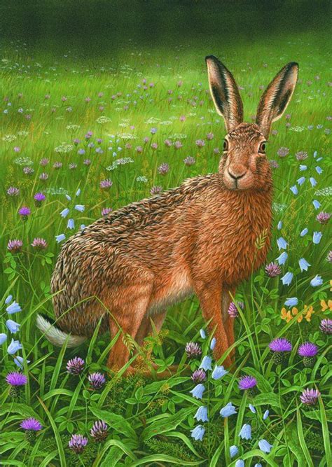 Robert E Fuller - British Wildlife Artist, Limited Edition Art Prints | British Wildlife Fine Arts