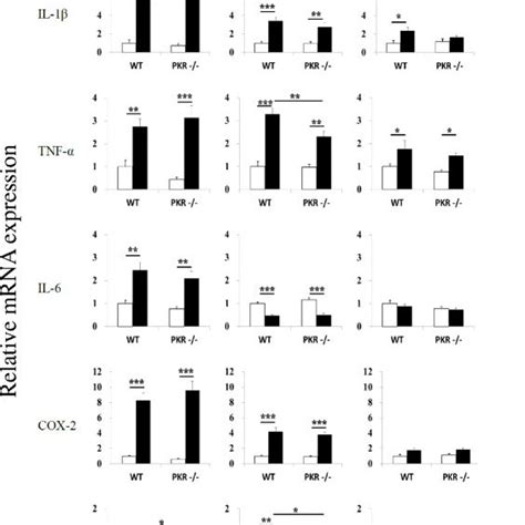 Relative Mrna Expression Profiles Of Il 1β Tnf α Il 6 Cox 2 And