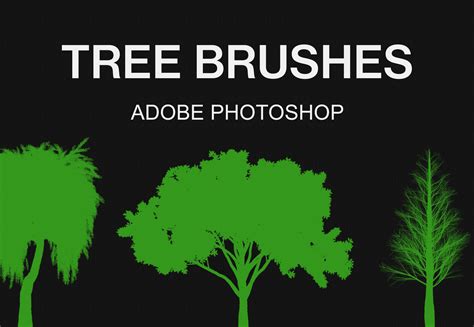 brush tree  timothy stump blog