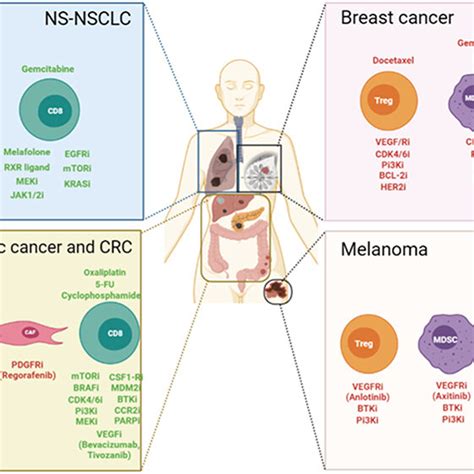 Combination Of Targeted Therapy And Immunotherapy With Or Without Download Scientific Diagram