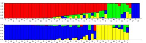 Population Structure Of Maize Inbred Lines Each Inbred Is Presented As