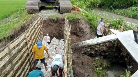 Dpupr Kabupaten Mojokerto Perbaiki Darurat Tanggul Jebol Pemicu Banjir