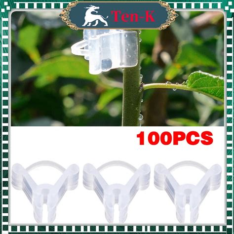 Jual 100pcs Grafting Clip Klip Alat Okulasi Clips Penjepit Sambung