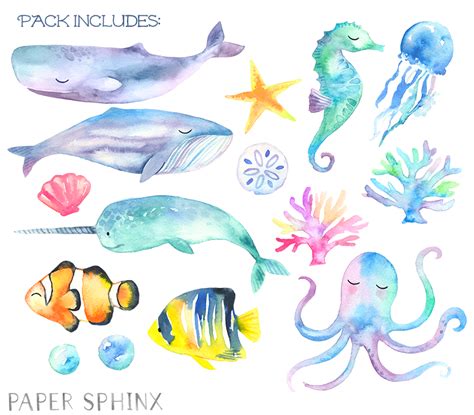 Sea Creatures Watercolor at PaintingValley.com | Explore collection of Sea Creatures Watercolor