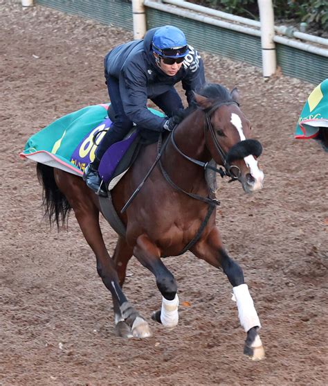 【ホープフルs】セレンディピティが坂路で51秒4 レースでは武豊騎手が騎乗 Umatoku 馬トク