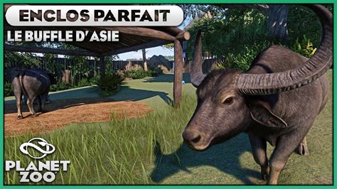 Les Buffles Sauvages D Asie LES ENCLOS PARFAITS EPISODE 81 PLANET