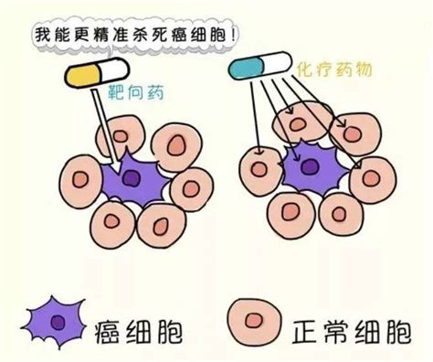 如何判断靶向药耐药了 咚咚肿瘤科