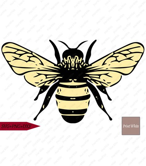 Bee Svg Stippellijn Doodles Svg Png Dxf Kleurrijke Bee Cut Etsy Belgi