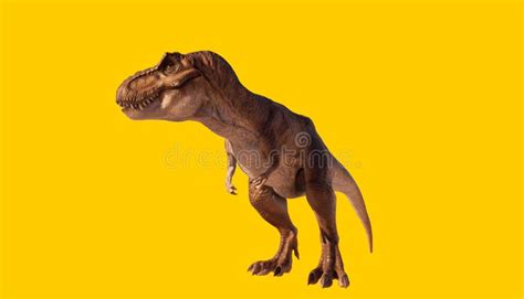 Dinosauro Di Tyrannosaurus Rex Isolato Su Fondo Giallo Brillante