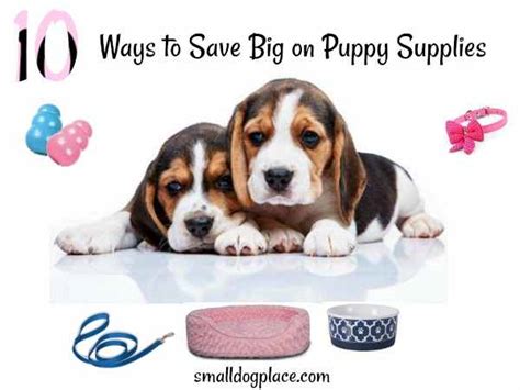 Puppy Supplies: Ten Ways to Save Big