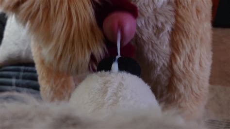 POV Fursuit Náhubek Kurva a Výstřiky Pornhub Gay