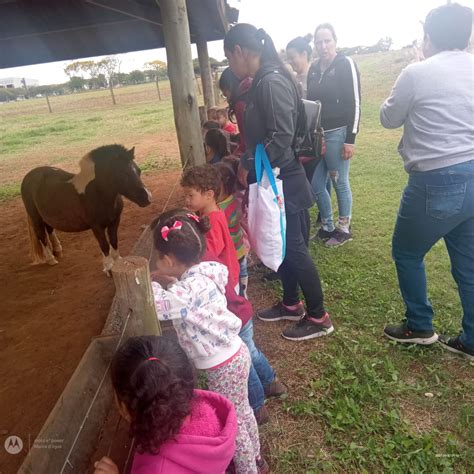 Alunos Das Creches Municipais Visitam Fazendinha Do Unasp Prefeitura