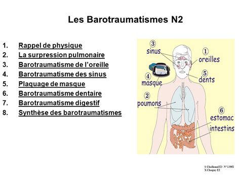 Les Barotraumatismes N Ppt T L Charger