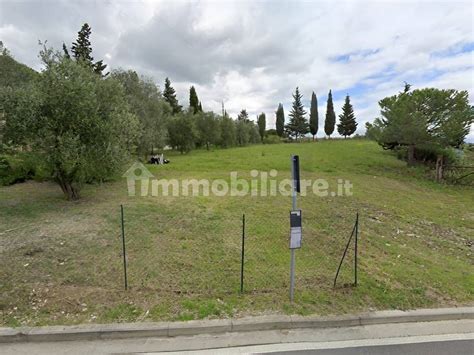 Asta Per Terreno Agricolo Via Santa Maria Novella Ang Via Degli Olivi