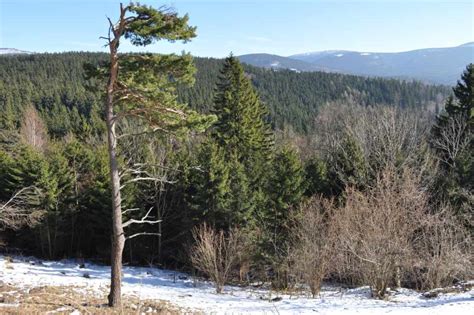 Współpraca dla środowiska Sozosfera ochrona środowiska