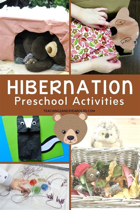 25 Of The Best Preschool Hibernation Activities Hibernation Preschool Activities Hibernation