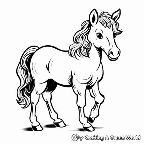 Miniature Horse Coloring Pages - Free & Printable!