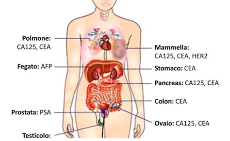 Marcatori Tumorali Tumor Markers