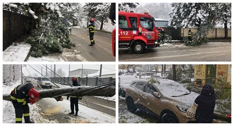 FOTO Mai mulți copaci din municipiul Suceava au cedat sub greutatea