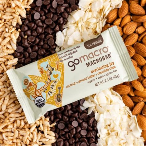 GoMacro Coconut Almond Butter Chocolate Chips Protein Bar 1 Ct Fry