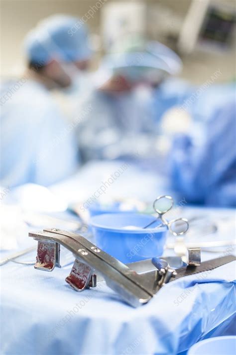 Surgical clamps - Stock Image - C026/5555 - Science Photo Library