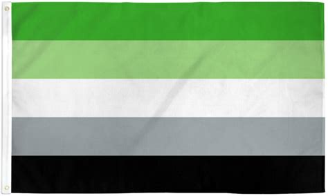 Buy Aromantic Flag Aromanic Pride Flag For Sale