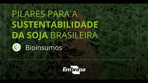 Bioinsumos Pilares Para A Sustentabilidade Da Soja Brasileira YouTube