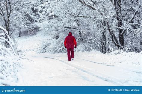 Man Walking Through The Snowy Forest Stock Photo Image Of Active