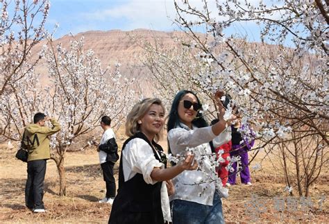 【图说吐鲁番】火焰山下花正艳