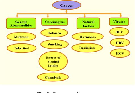 Figure 1 From An Overview Of Medicinal Plants As Anticancer Agents