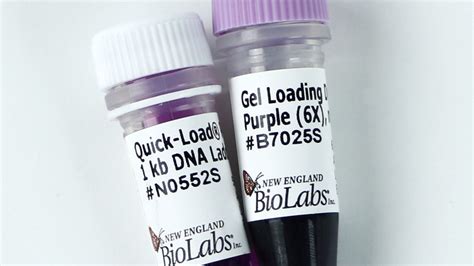 New England Biolabs Uk Ltd Quick Load ® Purple 1 Kb Dna Ladder