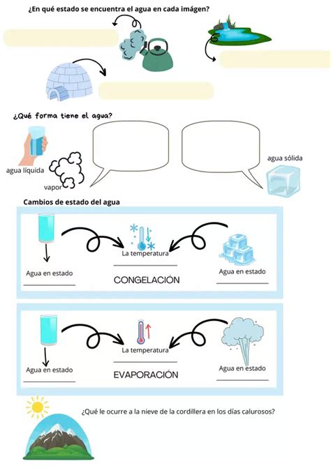 Transformación del Agua Ficha sobre Cambios de Estado y el Ciclo del