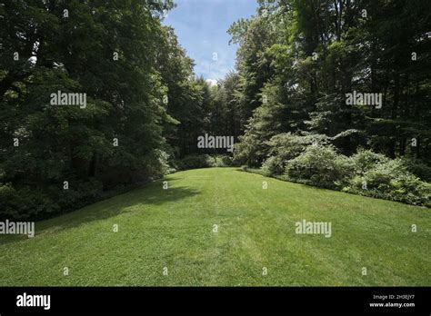 A Section Of Green Lush Lawn Surrounded By Thick Forest Woods At