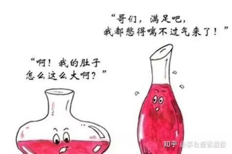 喝白酒也需要“醒酒”？茅台镇酱酒大师告诉你真相 知乎